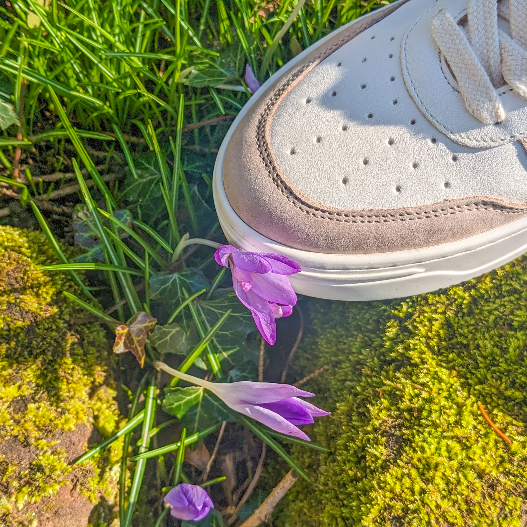 Bio-Sneaker aus Naturleder
