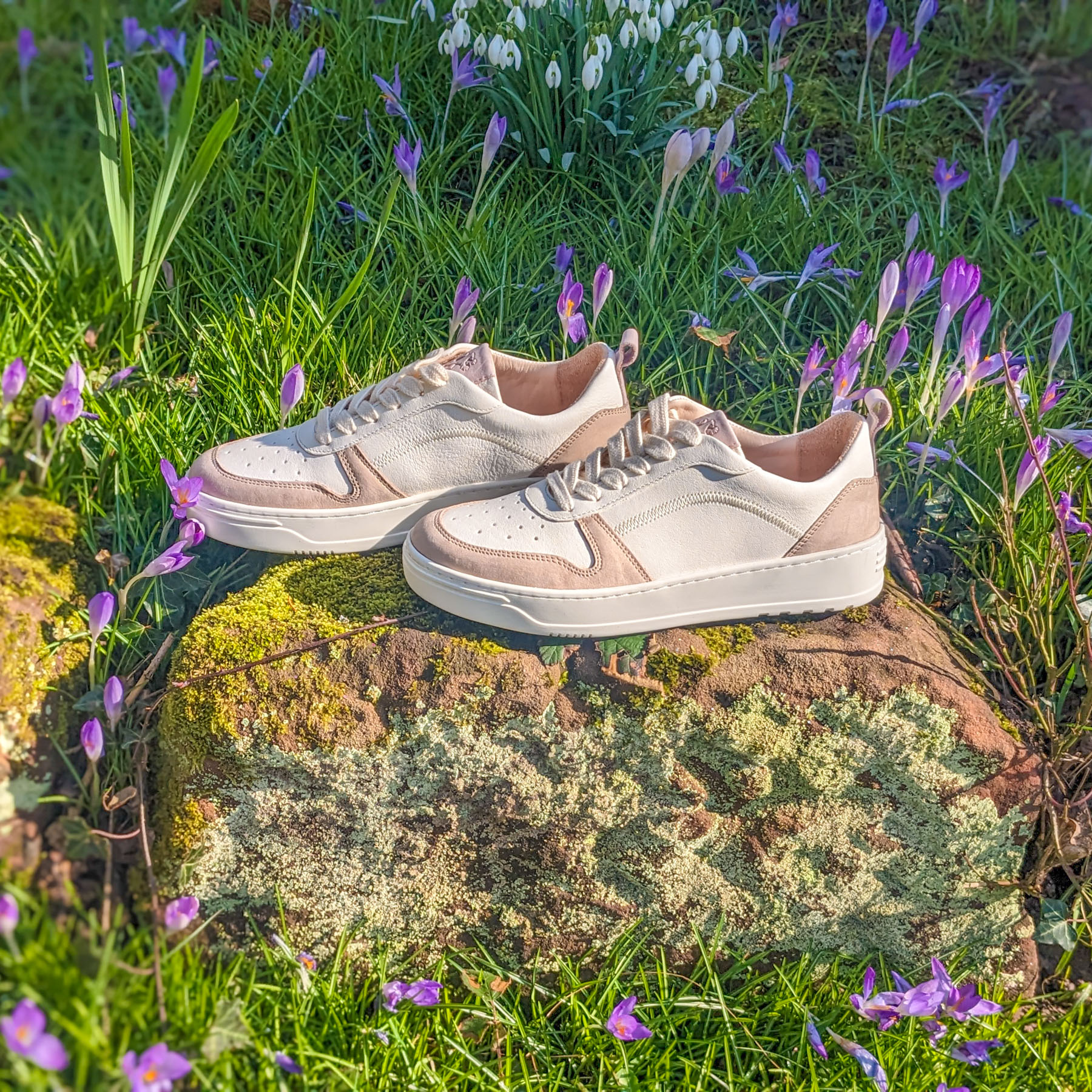 Bio-Sneaker aus Naturleder