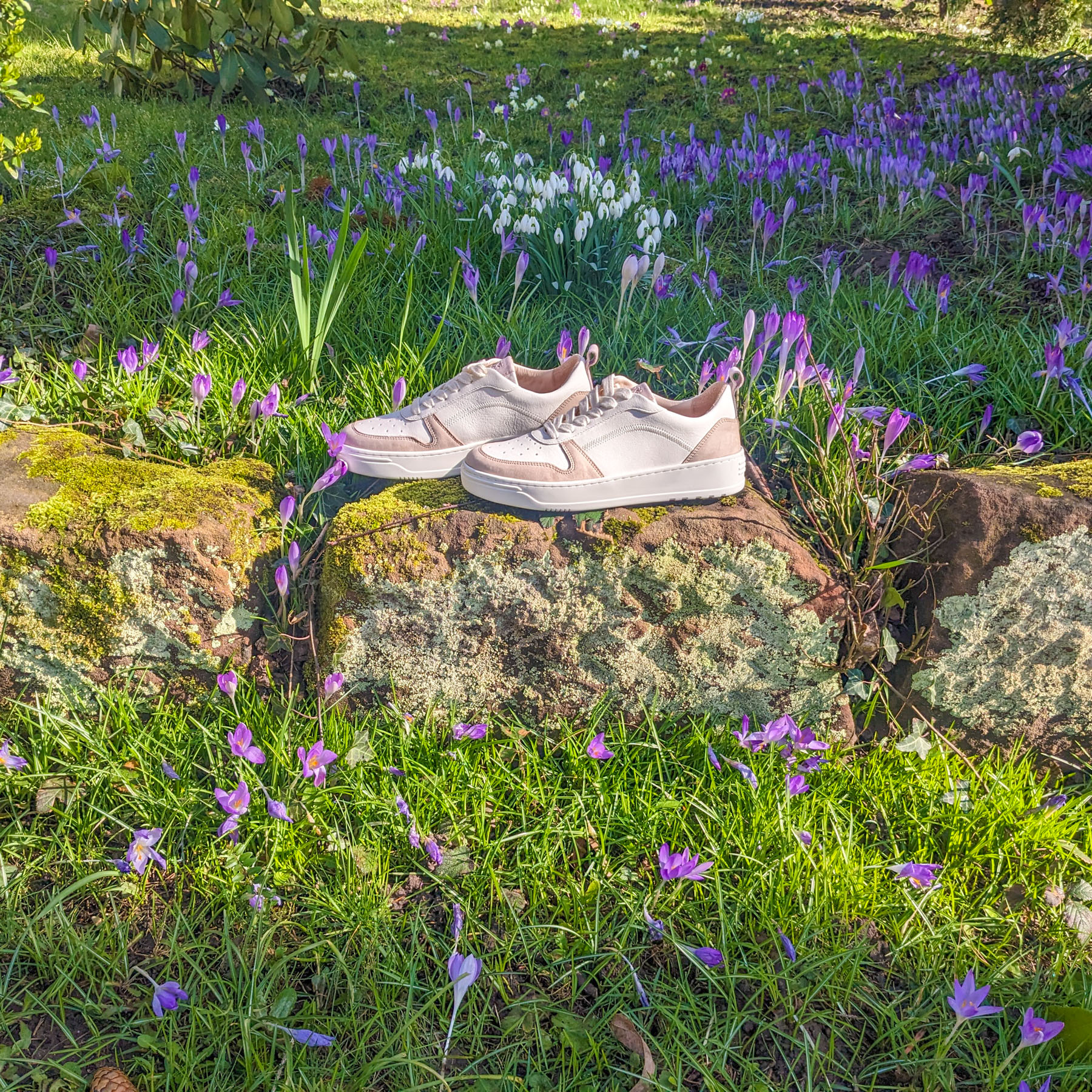 Bio-Sneaker aus Naturleder